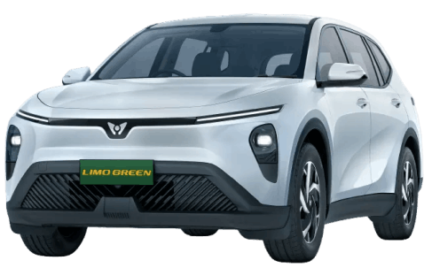 VinFast VinFast Limo Green